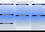 do powerpoint presentation swot casestudy analysis business